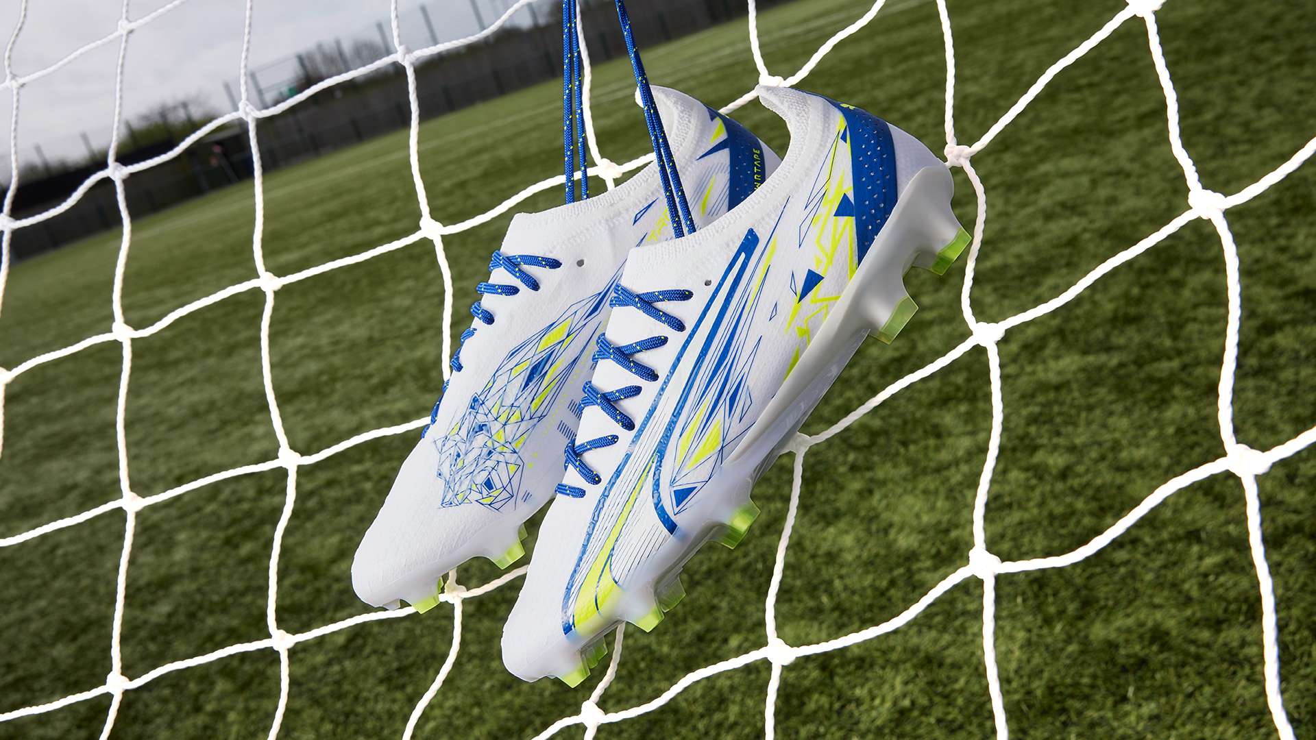 過度包庇導 過度包庇導