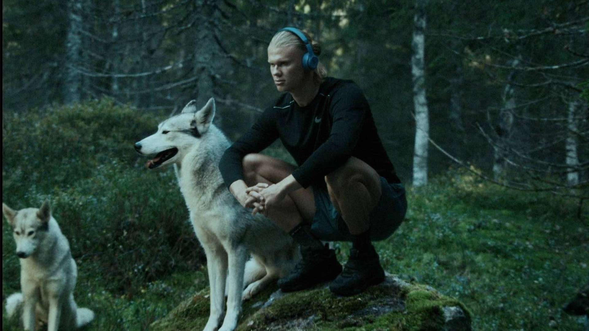 球員們重拾 球員們重拾