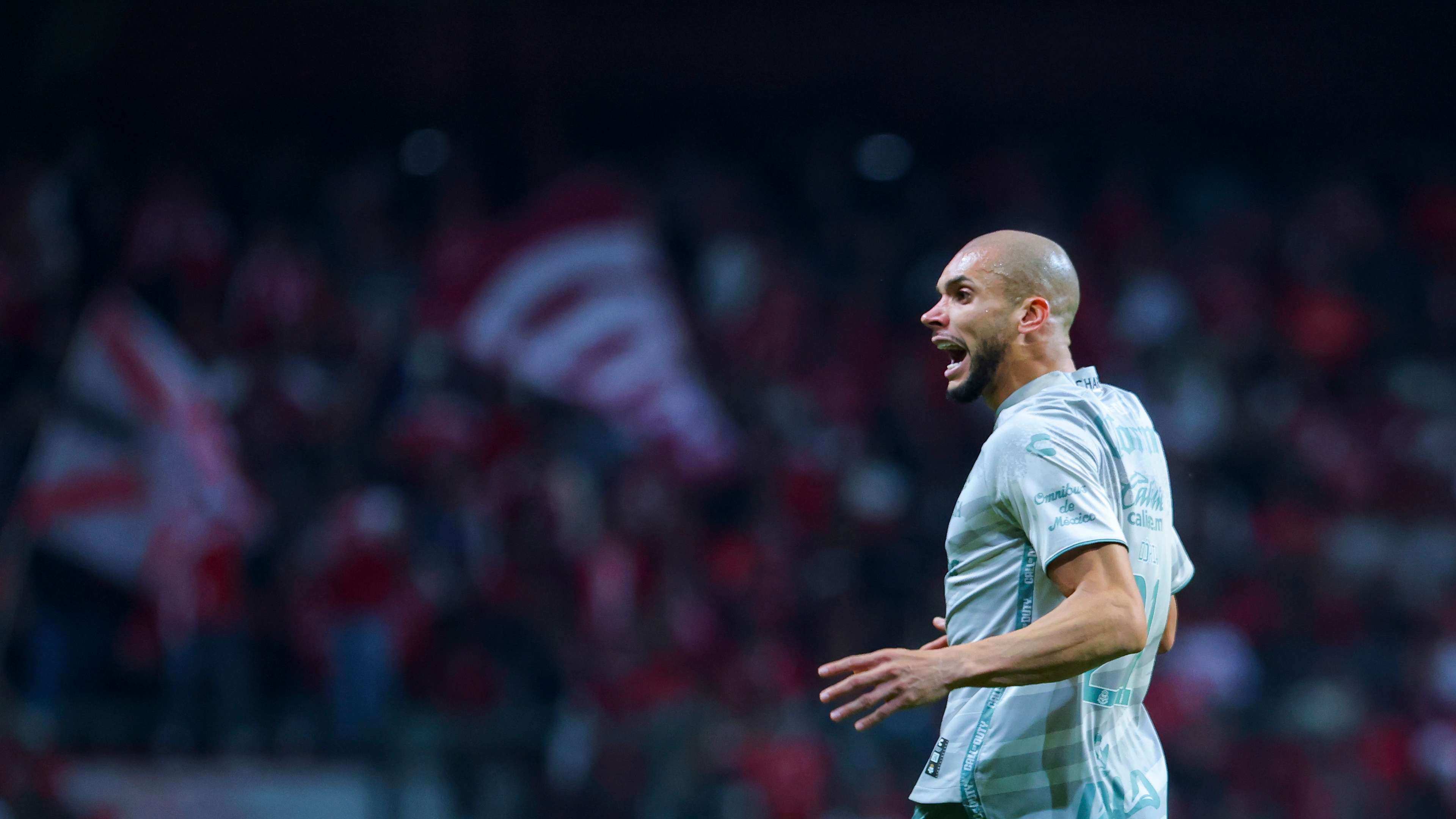 我们看到了 我们看到了